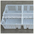 Poultry Equipamento Agrícola Layer Chicken Cage